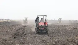 Kementan mendorong optimalisasi program Cetak Sawah Rakyat di Papua Selatan agar tidak hanya memperluas areal pertanian, tetapi juga meningkatkan produksi pangan dan kesejahteraan petani. (Dok. Kementan)