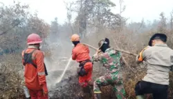 Petugas gabungan melakukan pemadaman kebakaran hutan dan lahan. Kementerian Kehutanan mencatat jumlah titik panas nasional turun menjadi 317 pada 24 Oktober 2026, sementara Sumatra Selatan mengalami kenaikan menjadi 102 titik.